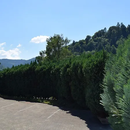 Ξενοδοχείο Saresma Garni Gernsbach